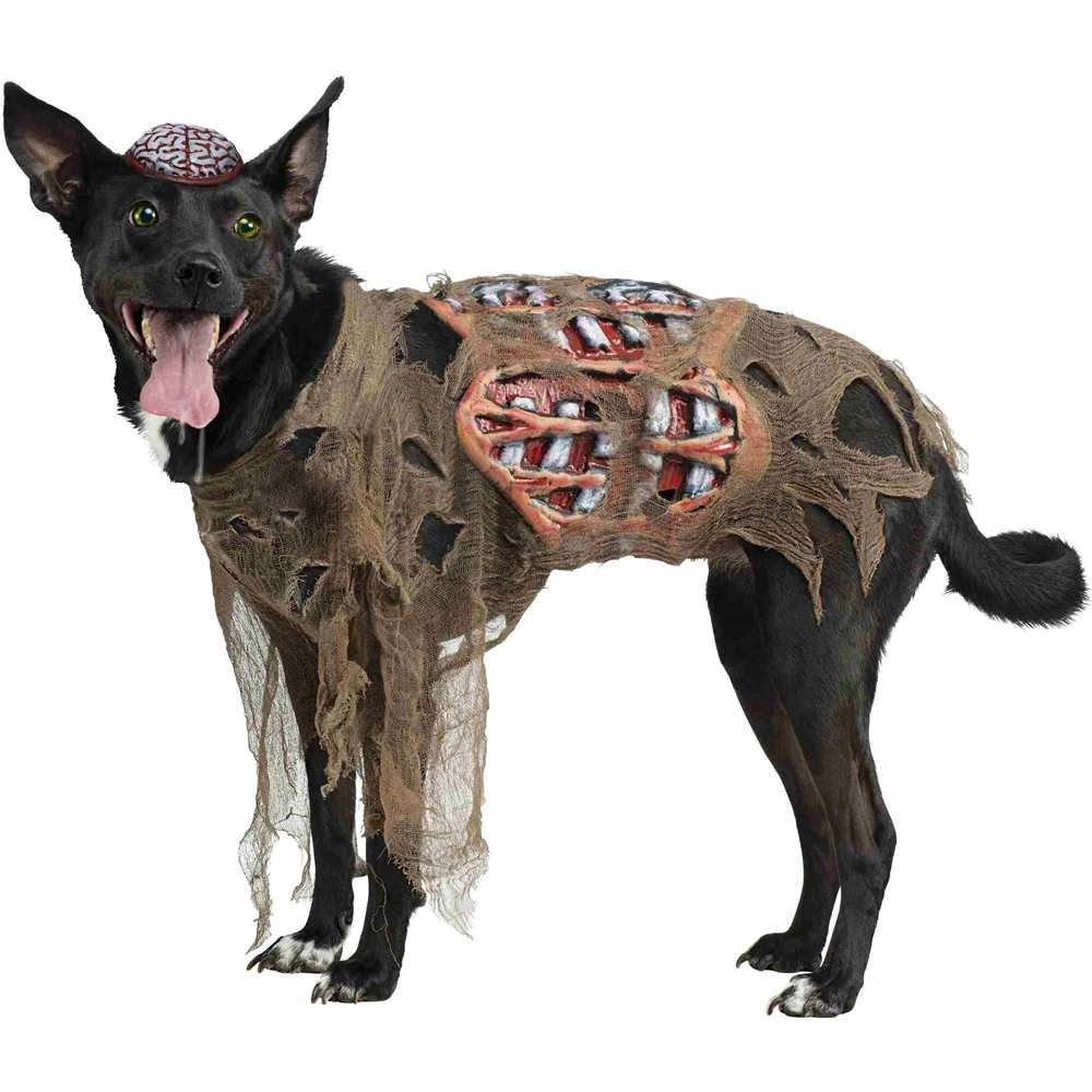 Hund an Fasching als Zombie verkleiden? (Kostüm)
