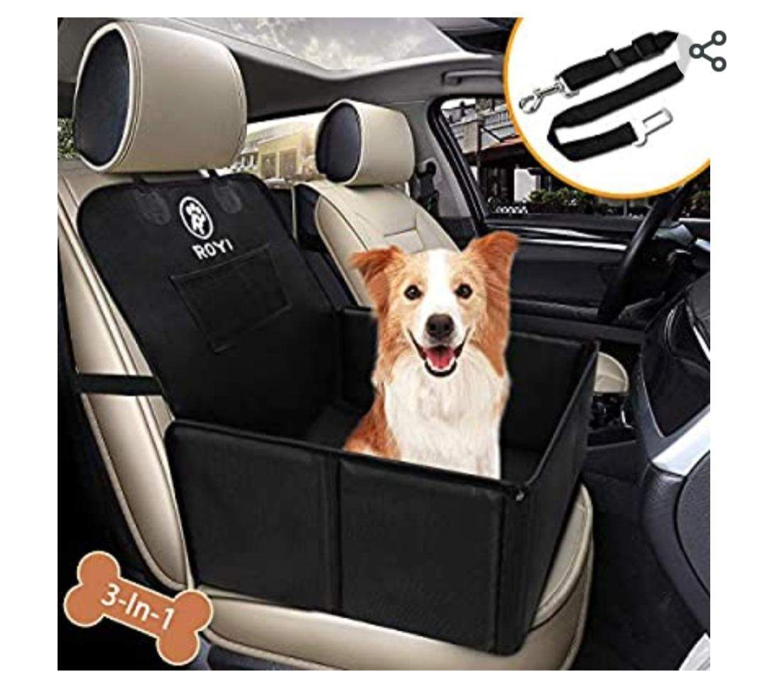 Hund auf der Rückbank transportieren erlaubt? (Auto und Motorrad)