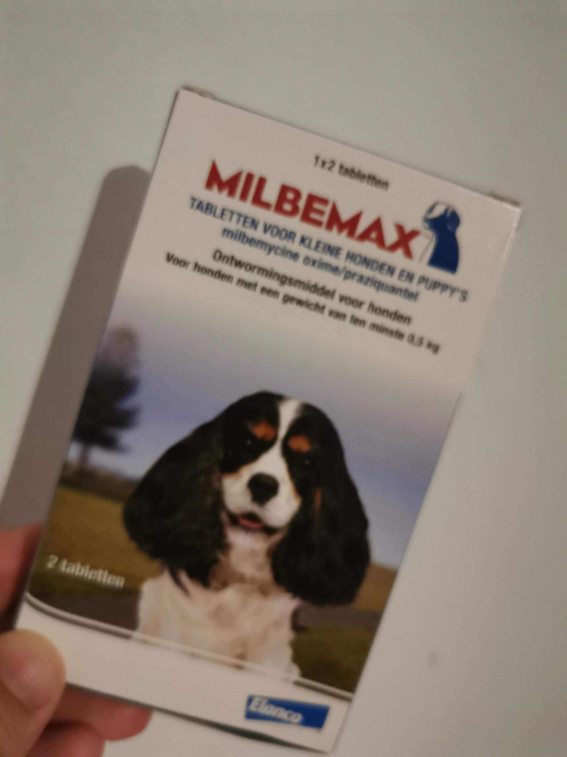 Hund Entwurmen nach Urlaub in Kroatien? (Tiere, Hundekrankheiten