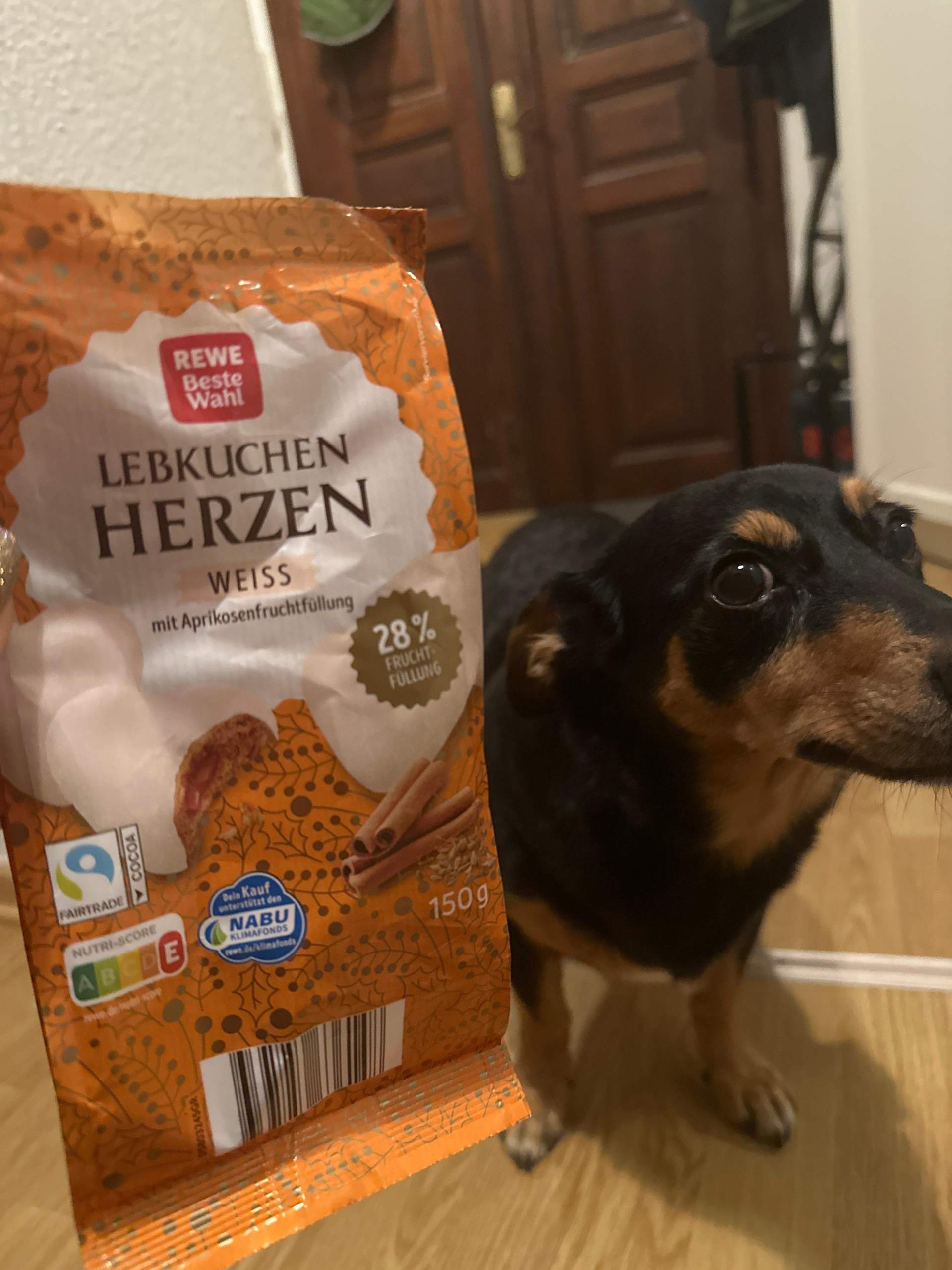 Hund frisst Lebkuchen, muss ich große Angst haben? (Gesundheit, Tierarzt, Tiermedizin)