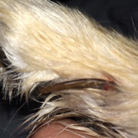 Auf die muschi Auf die muschi