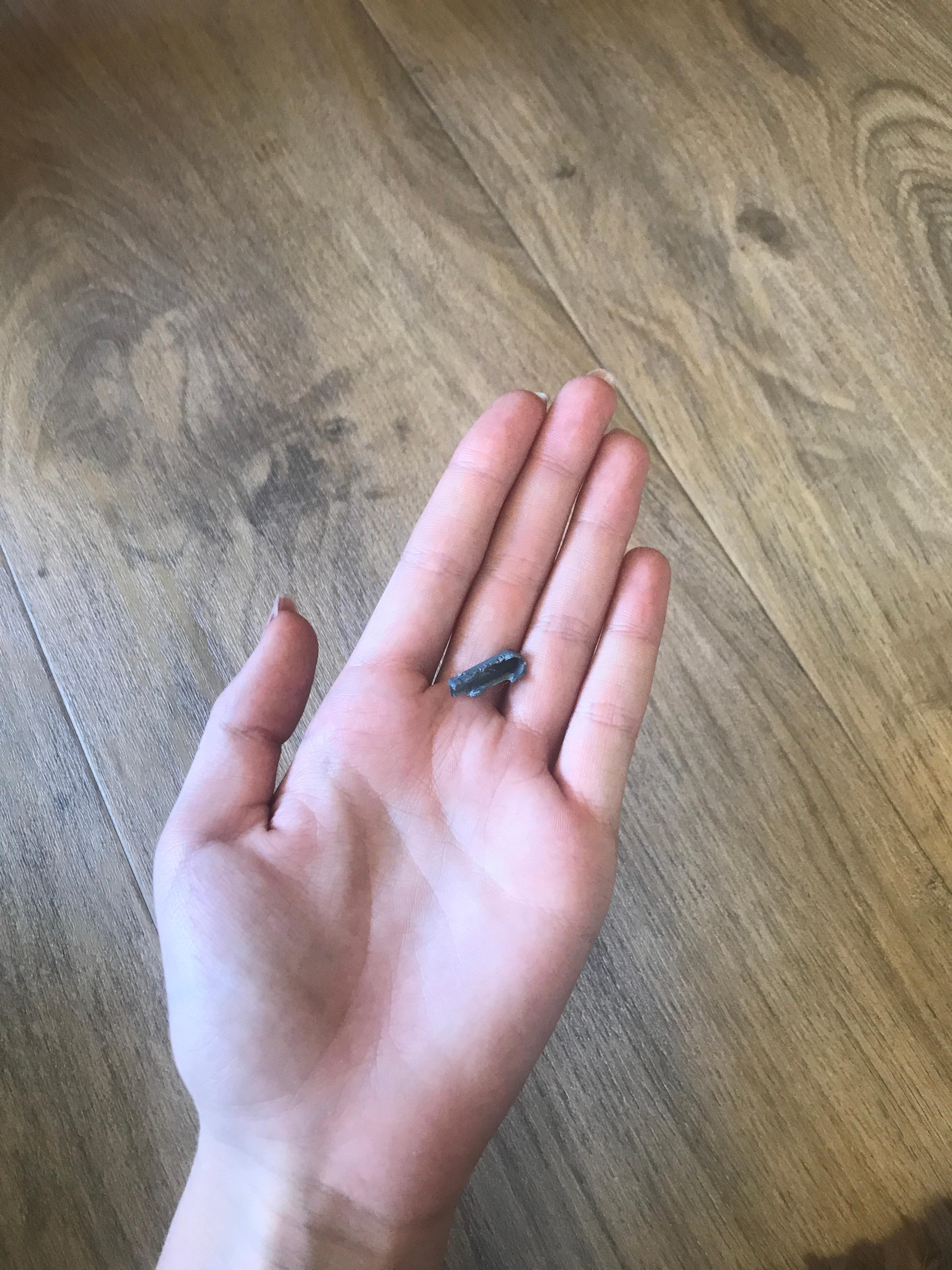 Hund hat Plastik verschluckt?
