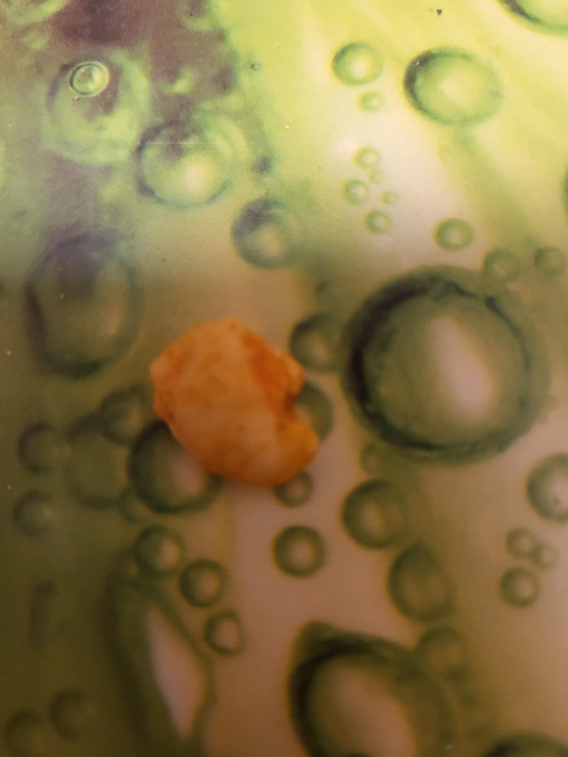 Hund hat scharfes gegessen? (Gesundheit, Tierhaltung)