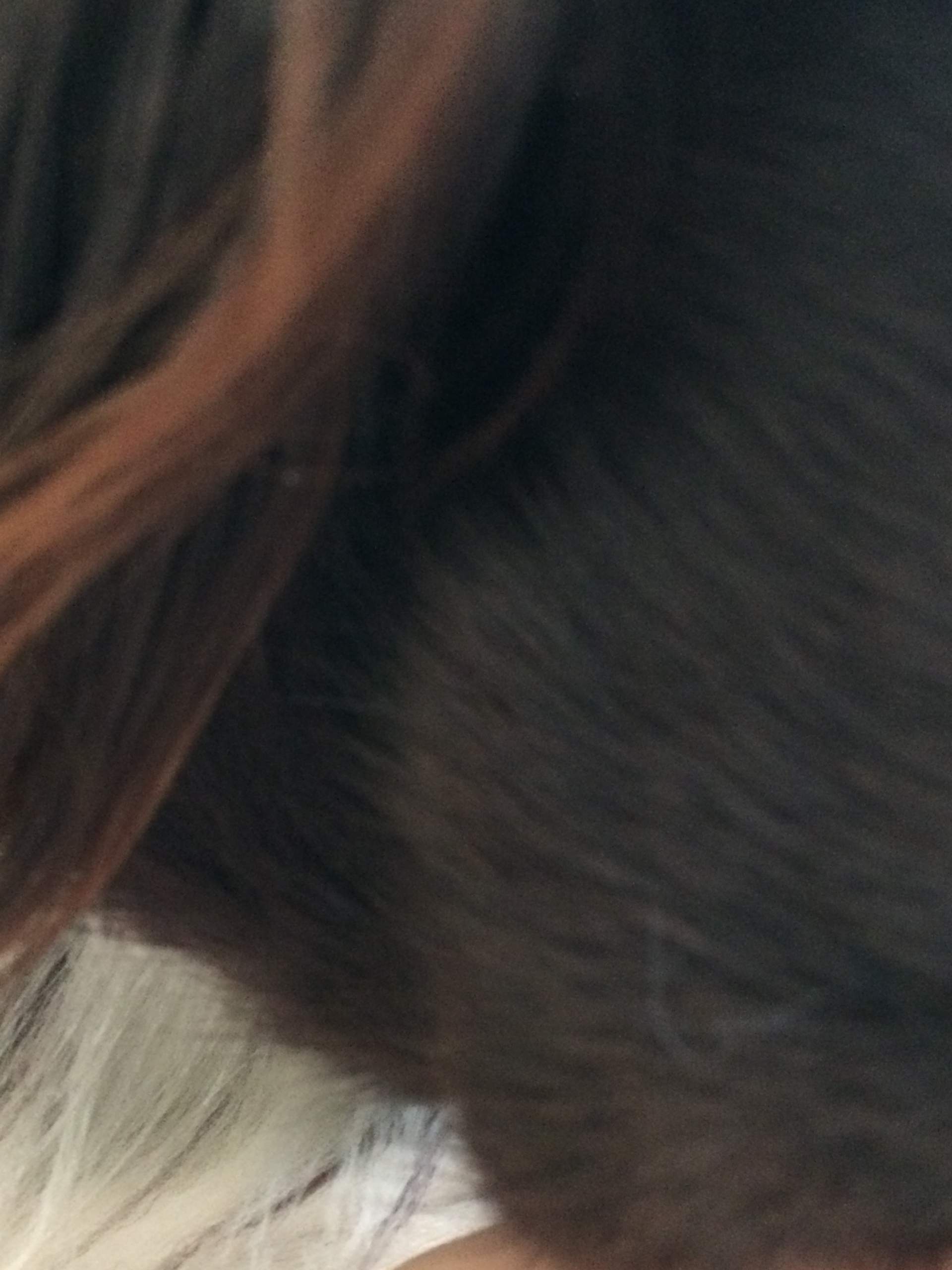 Hund hat traubengroßen Knubbel in der Lefze? (Tiere, Entzündung, Jagdhund)