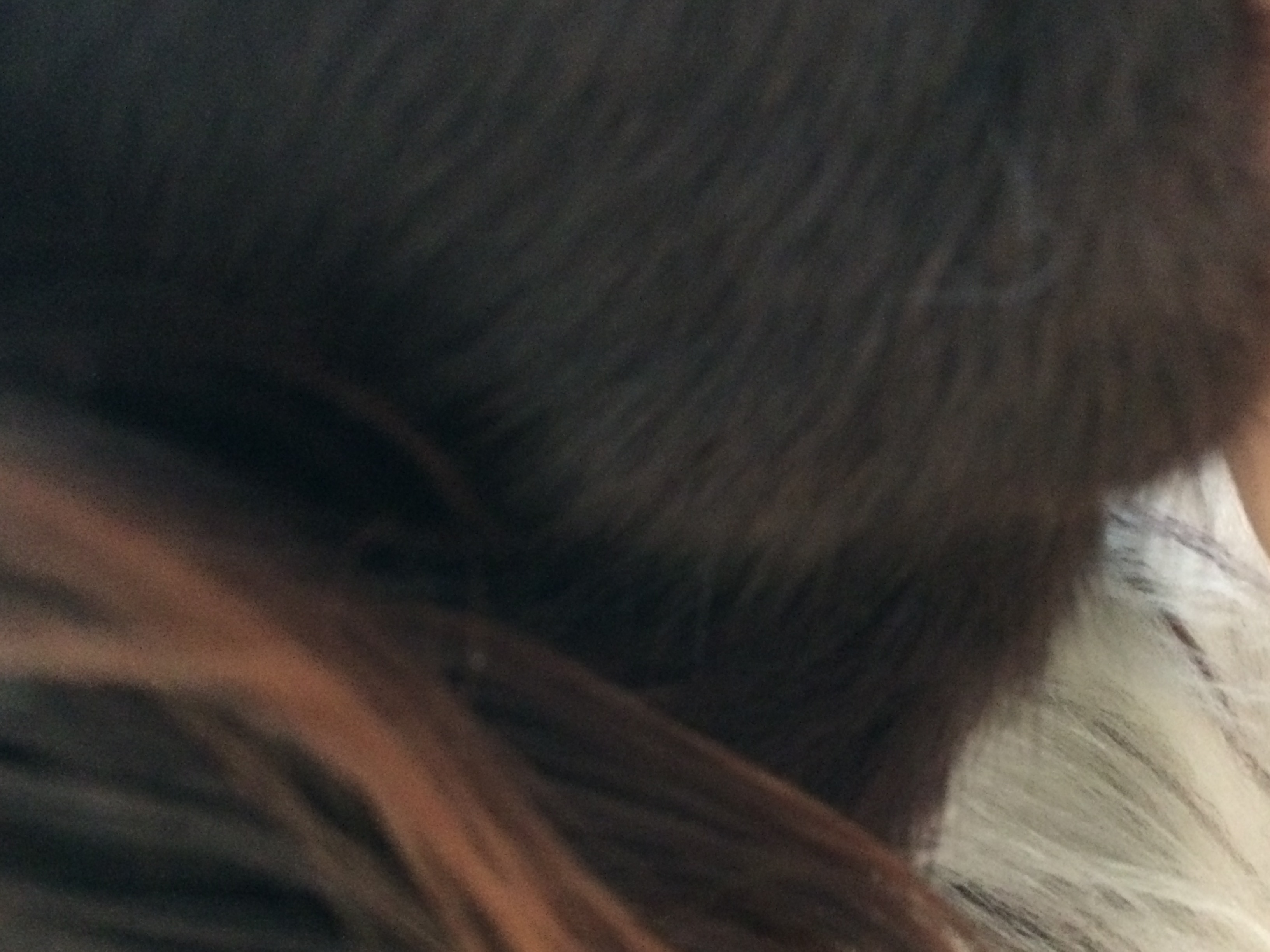 hund hat traubengrossen knubbel in der lefze tiere entzundung jagdhund