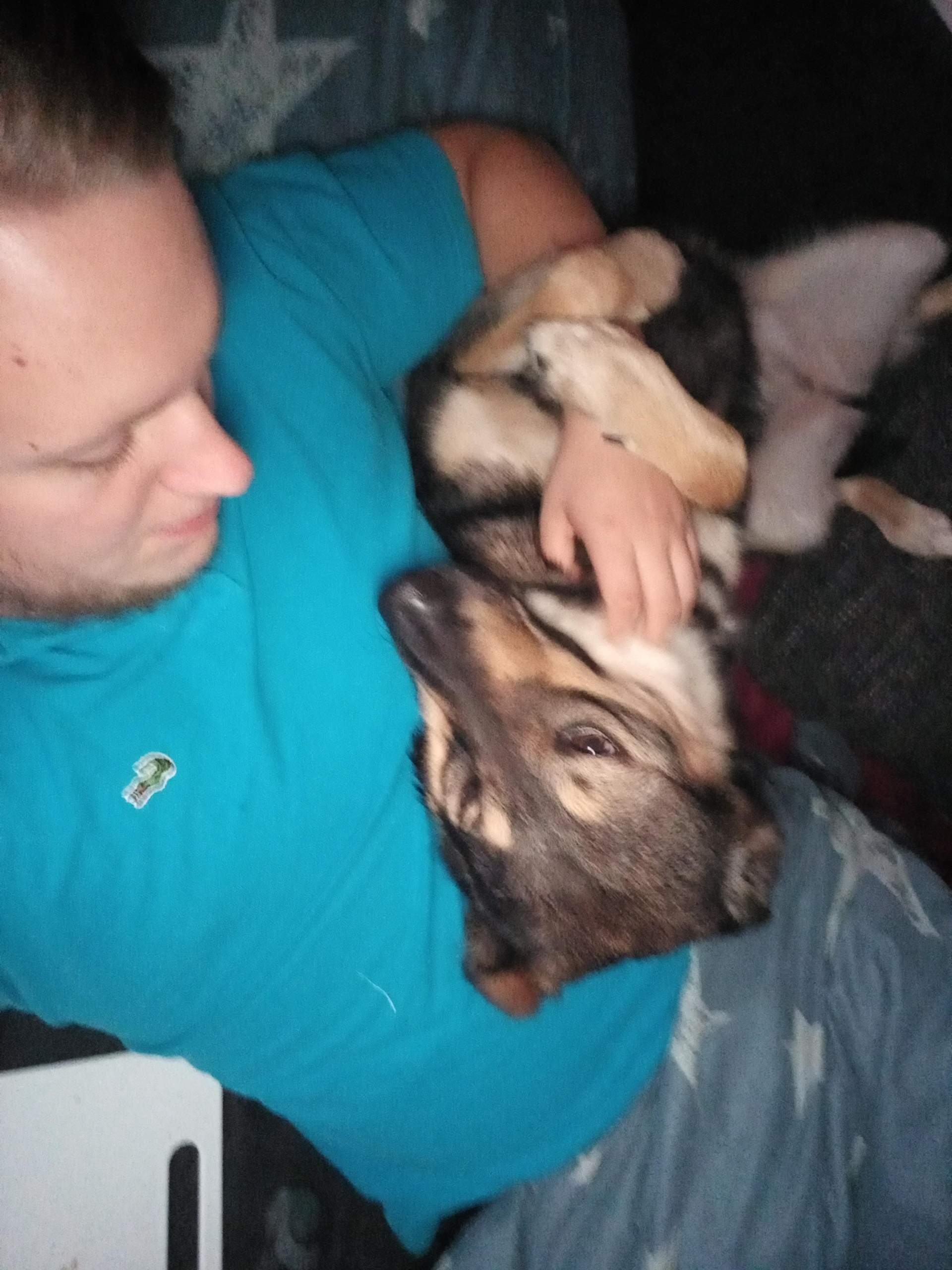 Hund kuschelt wie ein Mensch und Fiebt leise Was bedeutet das? (Menschen, Tiere)