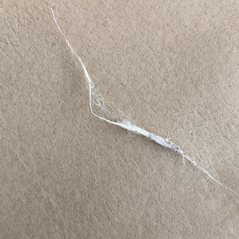 Das ist das was ich rausgezogen habe - (Tiere, Hund, Haustiere)