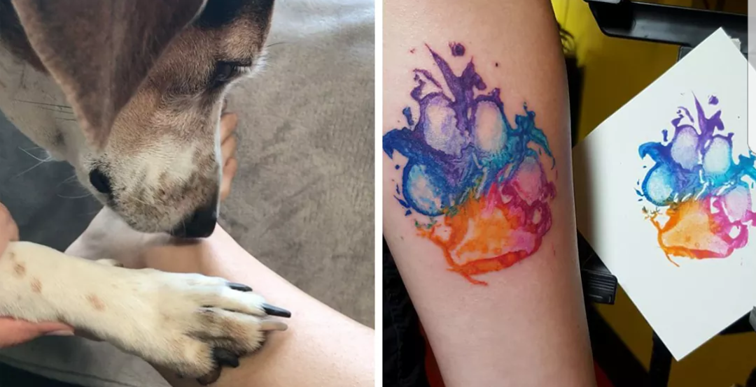 Hunde Pfoten Abdruck Machen Hund Tattoo Malerei