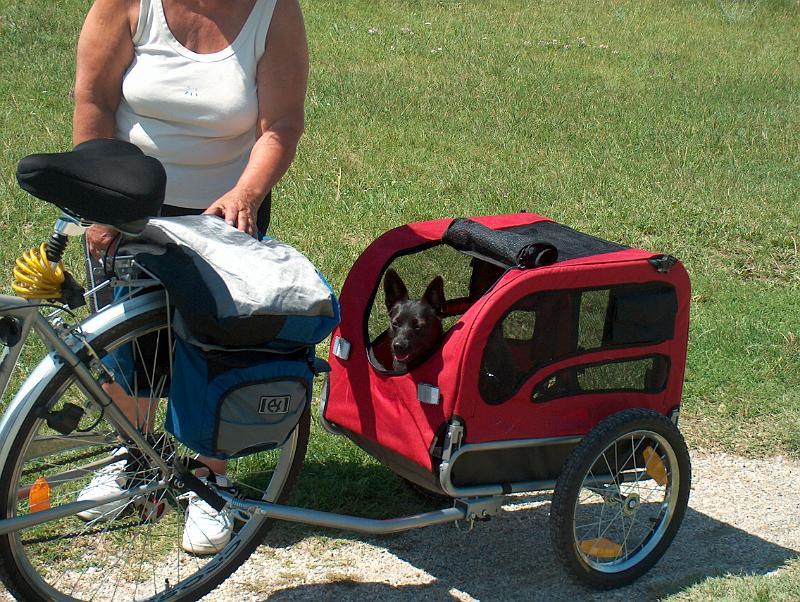 Hundeanhänger für Roller? (Hund)