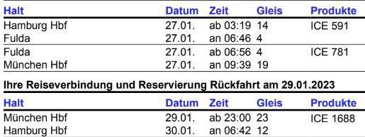 ICE Hamburg - München? (Deutsche Bahn, Zugfahrt)