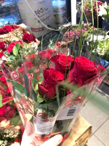 Ich bin am Start eine Beziehung und möchte ihr Rosen kaufen?