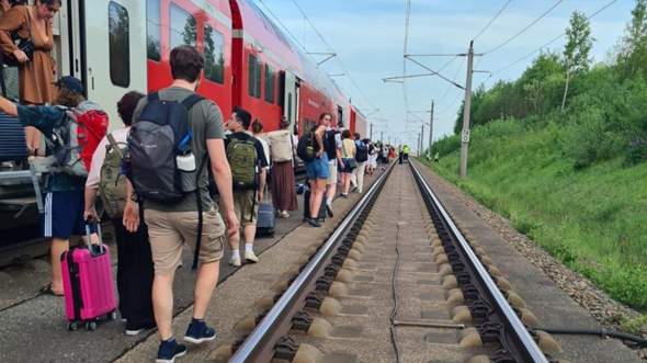 Bild zum Beitrag