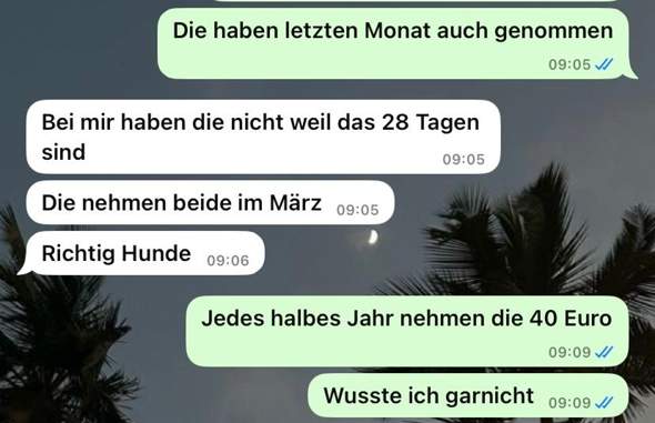 Bild zum Beitrag