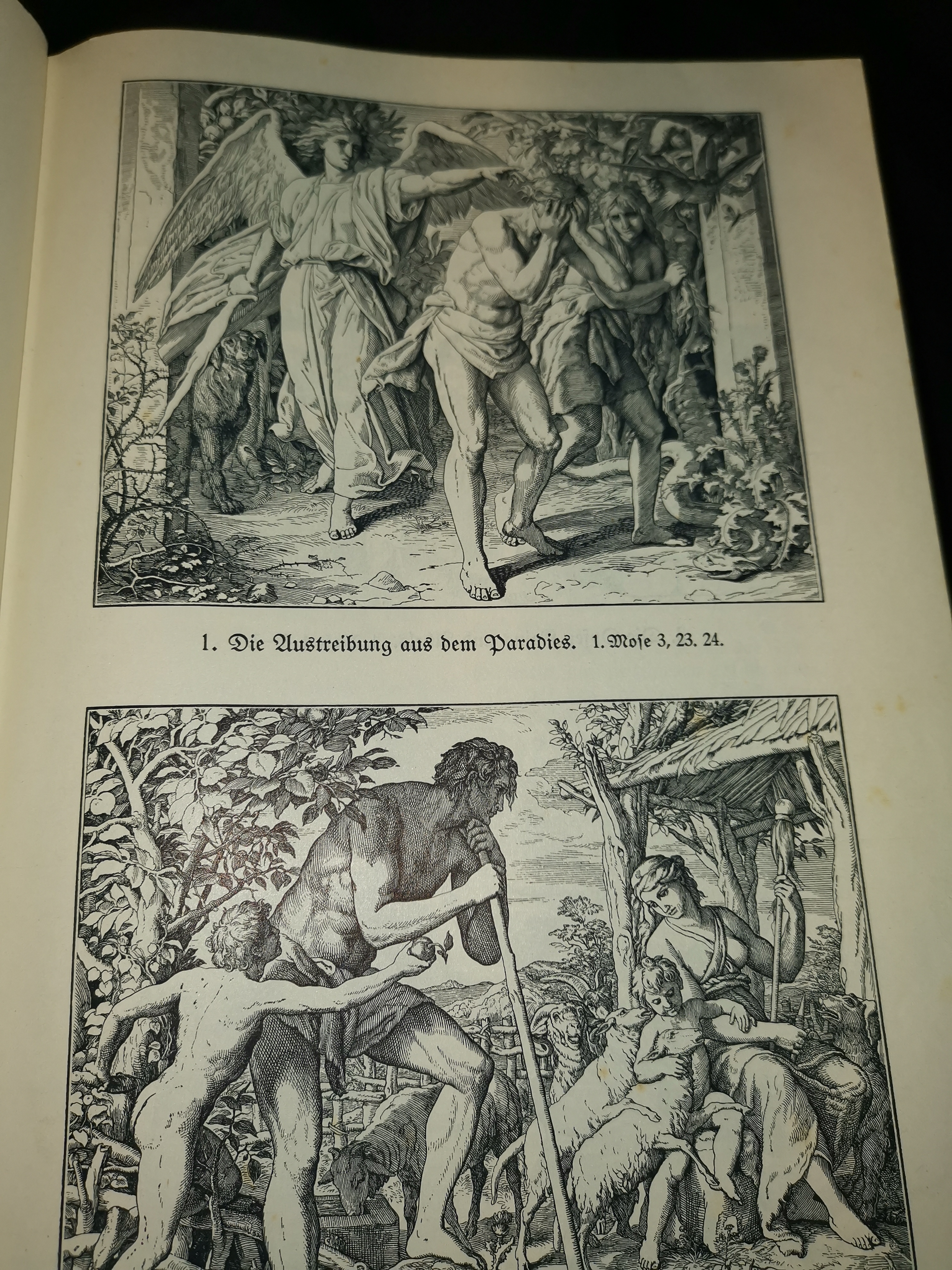 Ich habe diese alte Bibel da sind diese Bilder drin was soll man davon