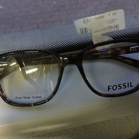 Fossil Brille - (Schule, Brille, Fossil)