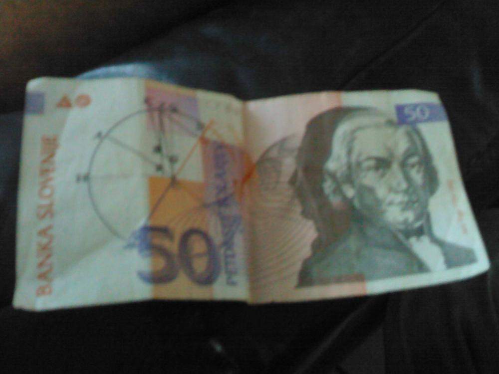 Wie Viel Euro Kostet Ein Papagei