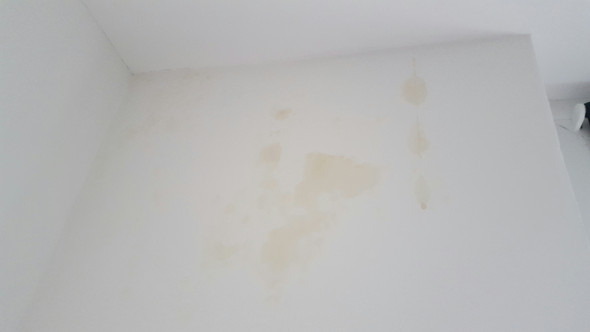 gelbe Flecken an der Wand - (Schimmel, Schlafzimmer, Gelbe Flecken)