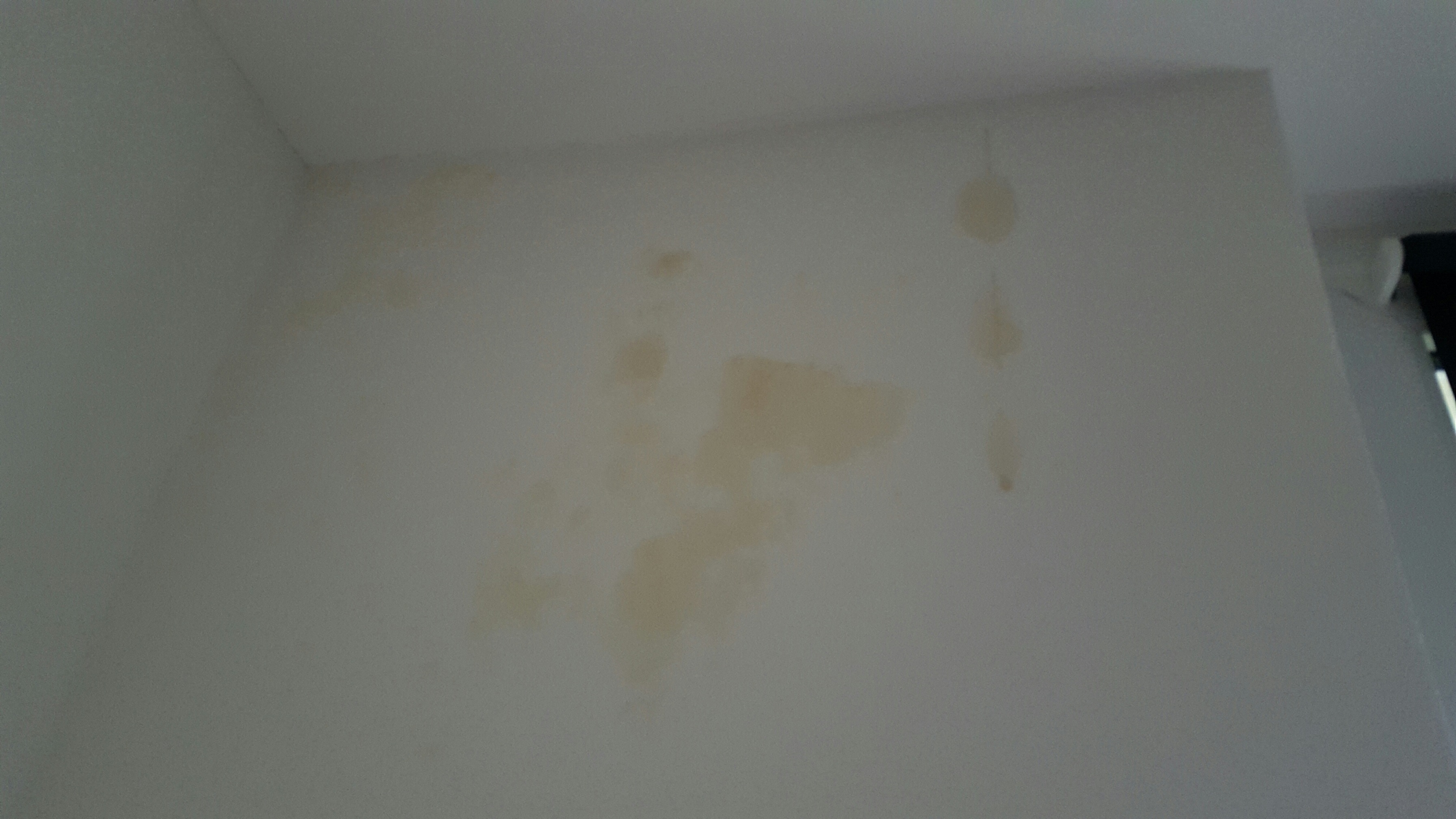 ich habe kurz vor weihnachten ganz helle kleine Flecken an meiner Schlafzimmer Wand entdeckt ich habe kurz vor weihnachten ganz helle kleine Flecken an meiner Schlafzimmer Wand entdeckt