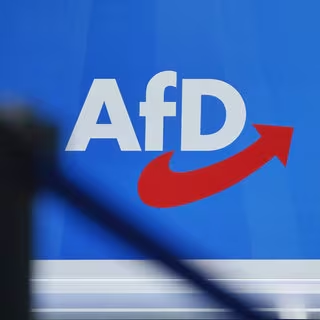 Bild zum Beitrag