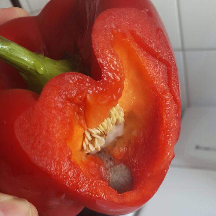 Ich habe verschimmelte Paprika gegessen, muss ich Bedenken haben