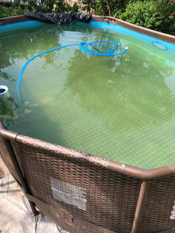 Ich habe Wasser in meinen Neuen Pool eingelassen und als ich Chlor dazu gegeben hatte ist er ganz grün geworden?wie bekomme ich das weg?
