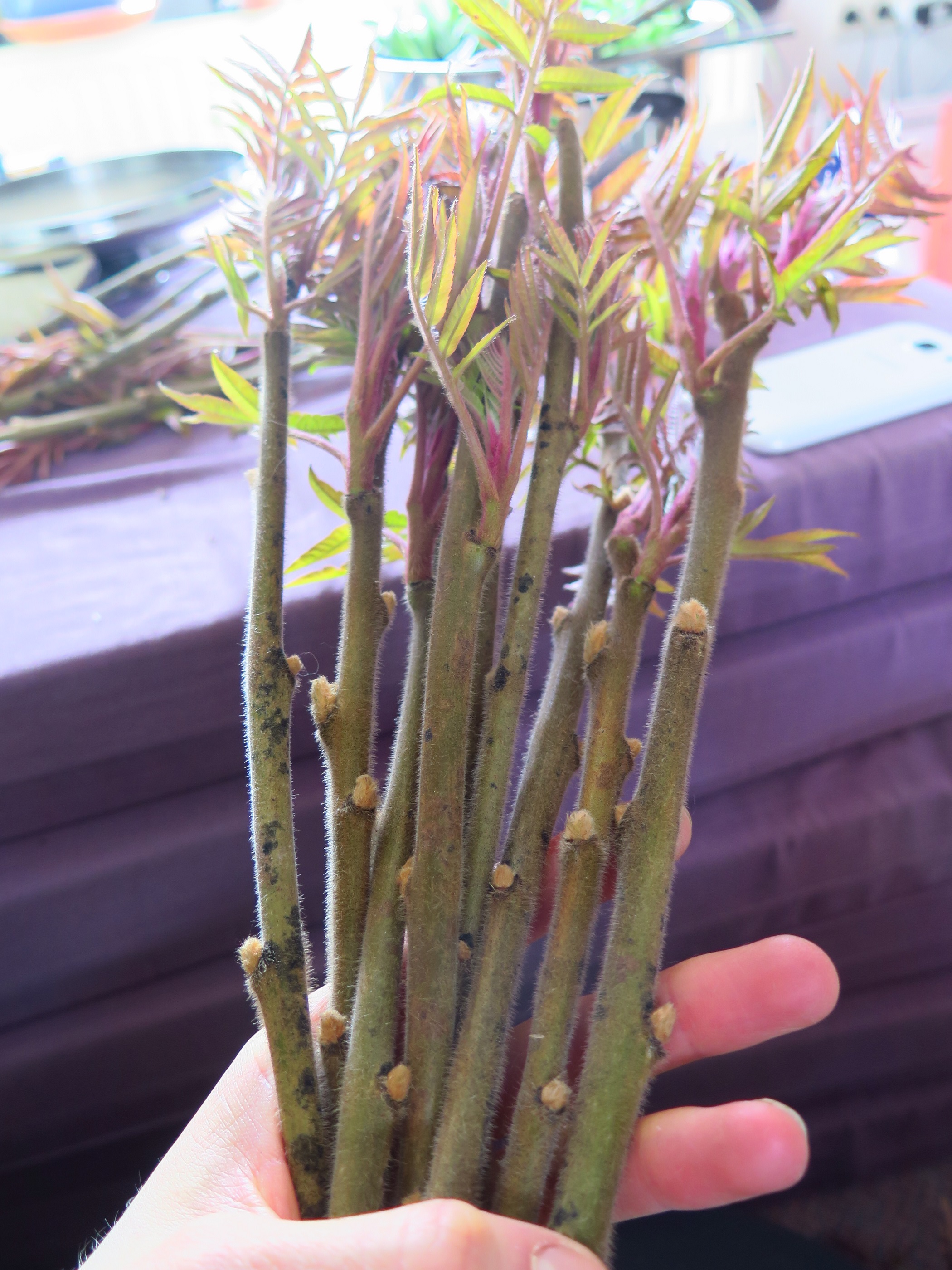 Suche Film Weiß Aber Nicht Wie Er Heißt Suche Film Weiß Aber Nicht Wie Er Heißt