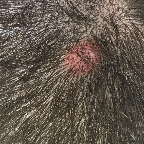 ich hoffe einer von euch kann mir sagen