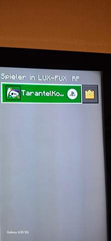 Bild zum Beitrag