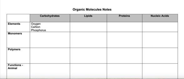 Ich Komme Da Grad Irgendwie Nicht Weiter Biologie Schule Englisch Hausaufgaben