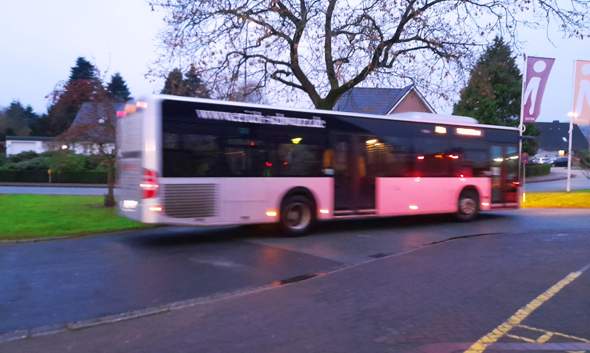 Bild zum Beitrag