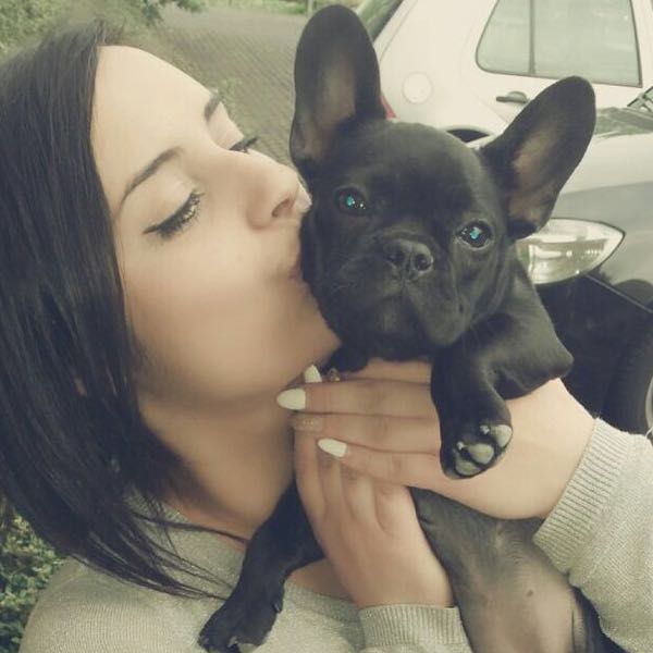 Wie überrede Ich Meine Eltern Zu Einem Hund Wie kann ich meine Eltern zu einem Hund überreden?