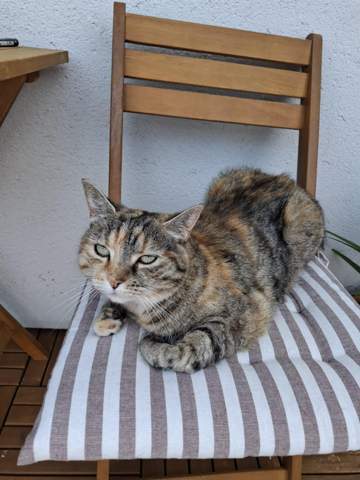 Bild zum Beitrag