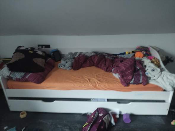 Bild zum Beitrag