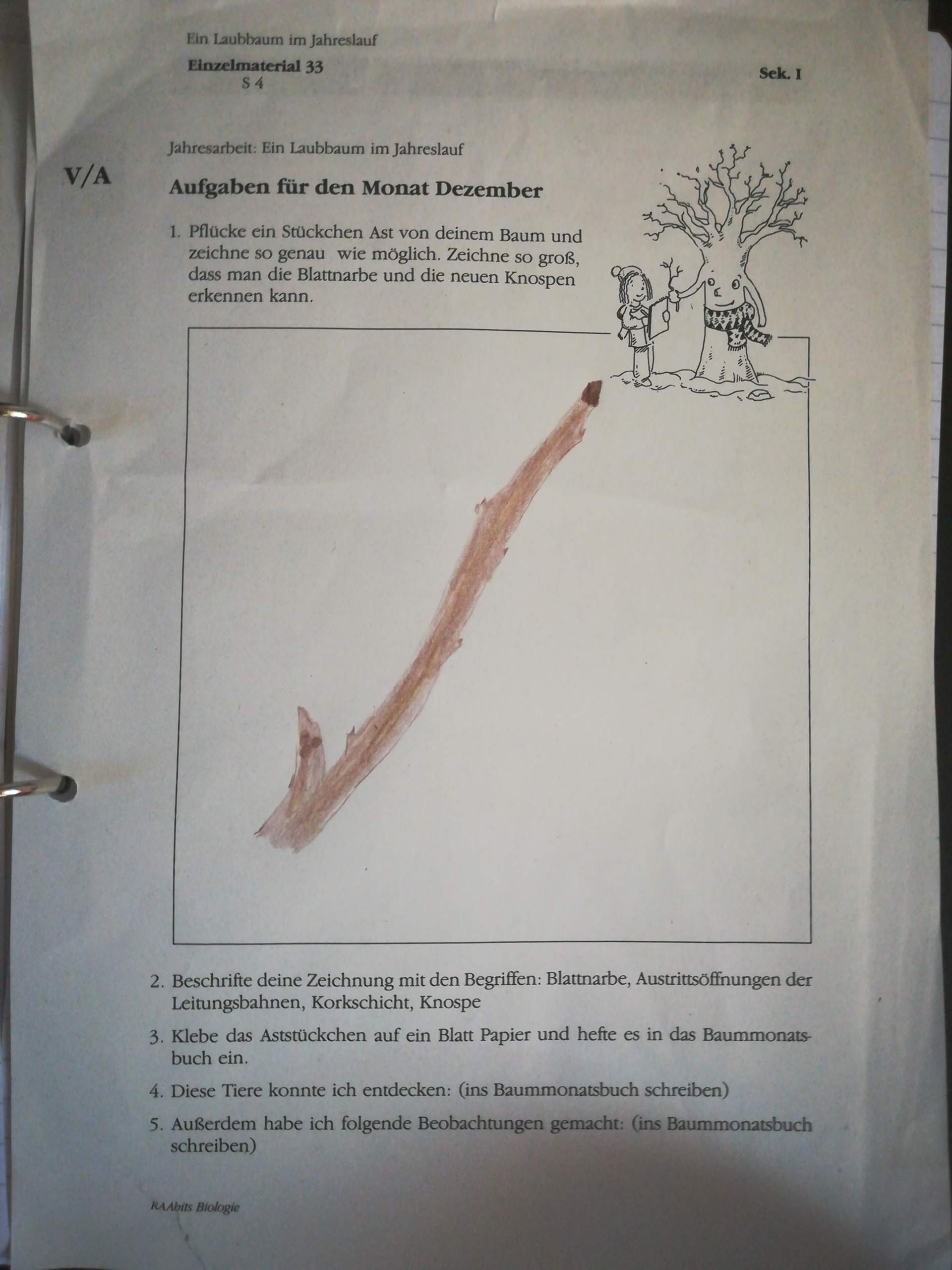 Ich muss mein Baumtagebuch machen, komme aber nicht mehr weiter. Kann