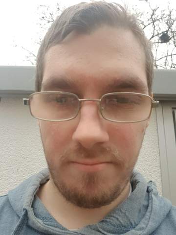 Bild zum Beitrag