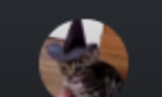 - (Bilder, Katze, Halloween)