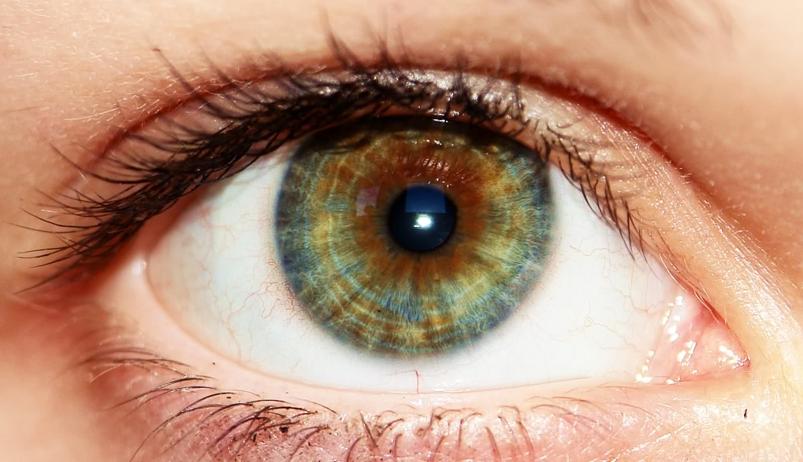 Grün Blaue Augen