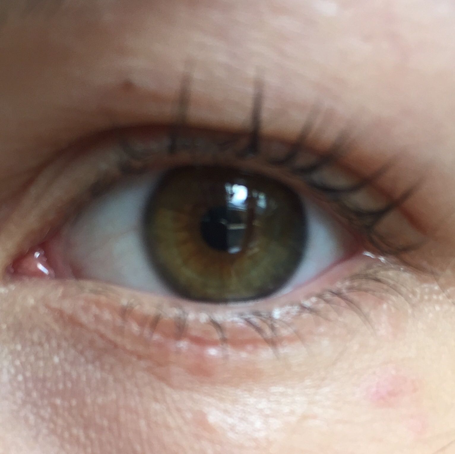 Augenfarbe Grün Braun