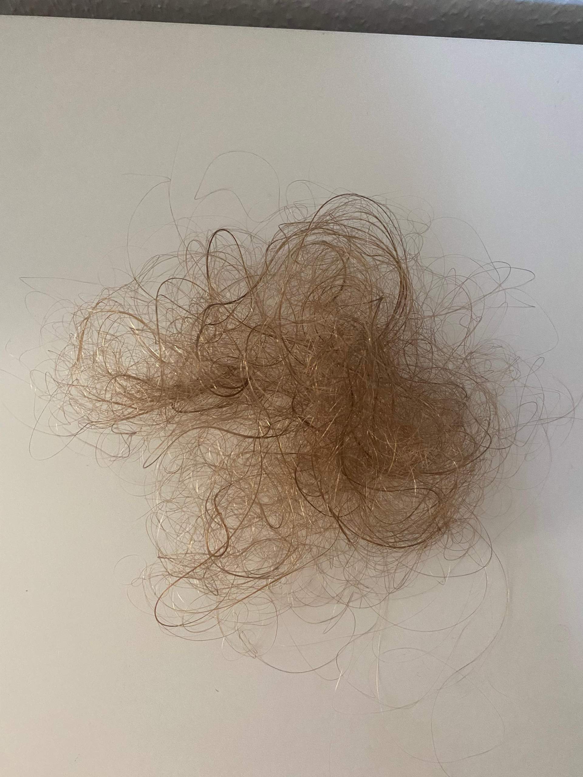 Ich verliere zurzeit viele Haare normal? (Haarpflege, Locken, Haarausfall)