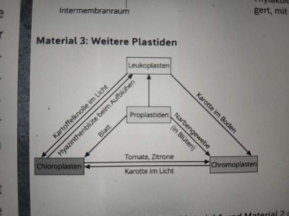 Bild zum Beitrag