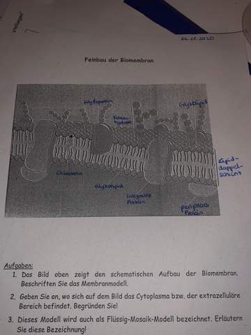 Bild zum Beitrag