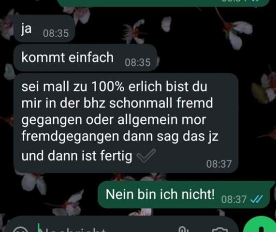 Bild zum Beitrag