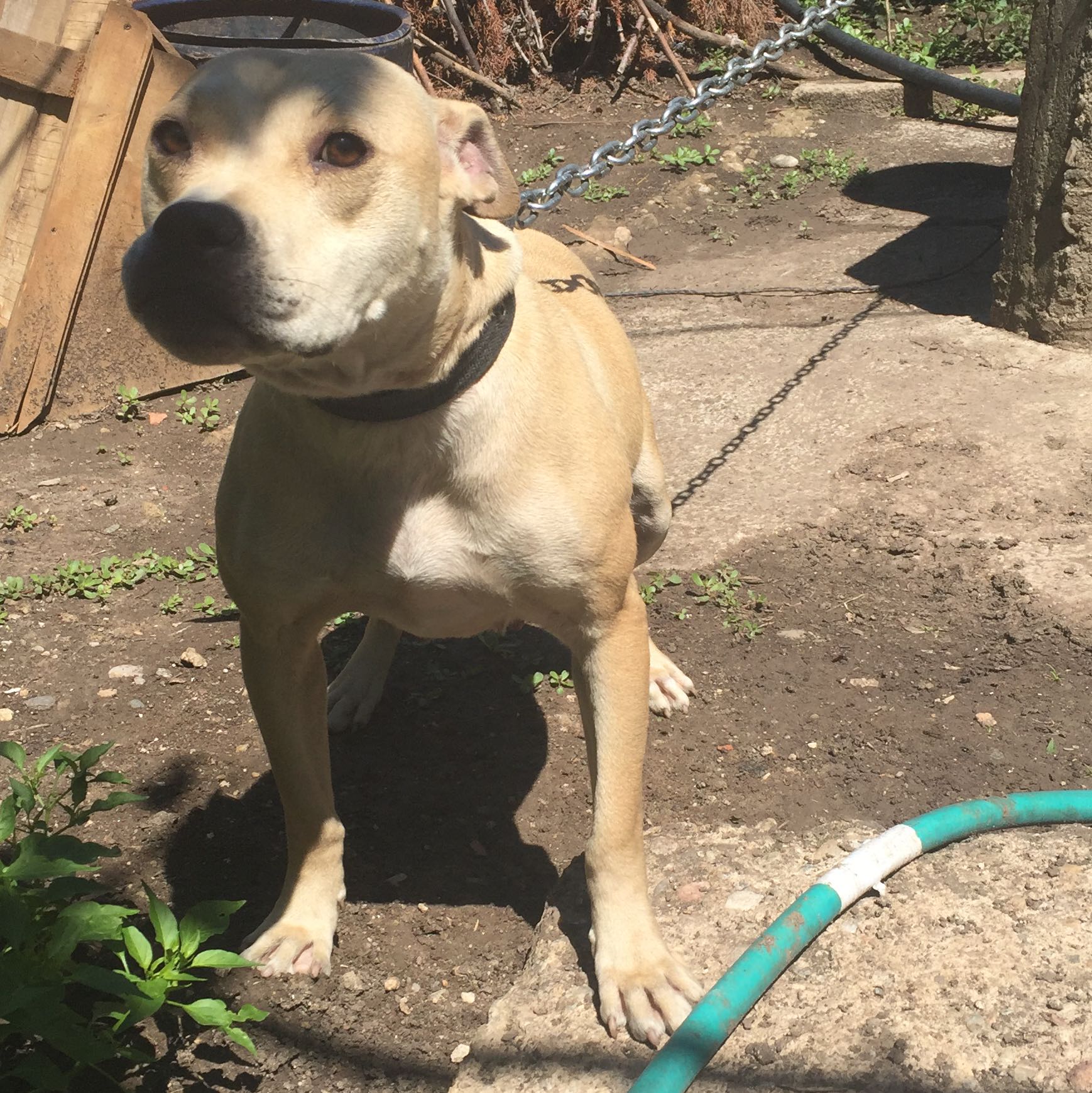 Ich wollte fragen Ich wollte fragen