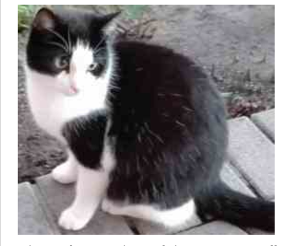 Haare einzelne lange weiße Männer Lange