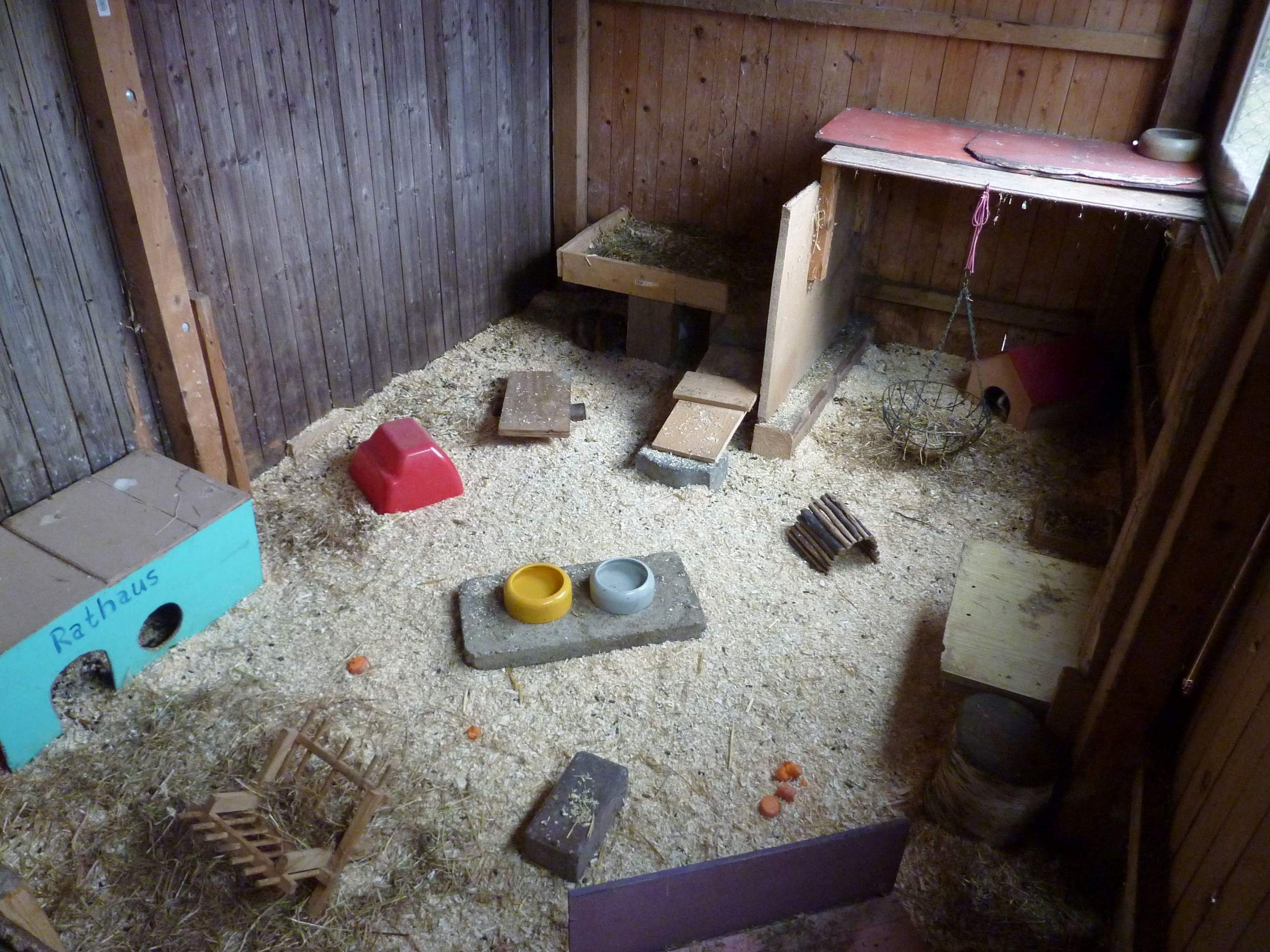 spielzeug für meerschweinchen selber machen Ideen für Meerschweinchen - Gehege- Gestaltung?