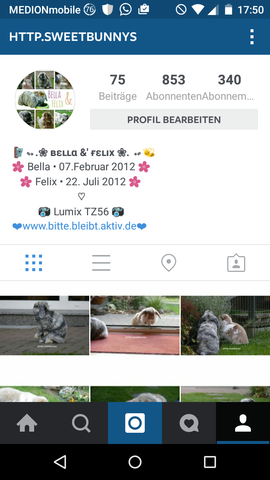 Ideen Fur Neue Biografie Auf Instagram Instagram Biografie Ideen