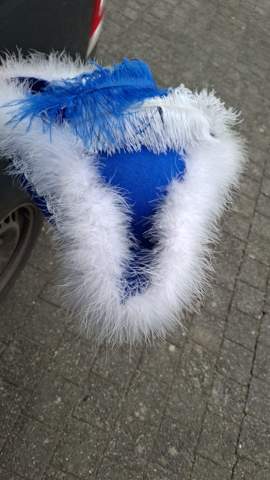 Bild zum Beitrag