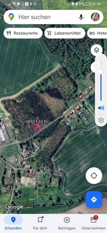 Bild zum Beitrag