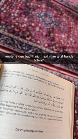 Bild zum Beitrag