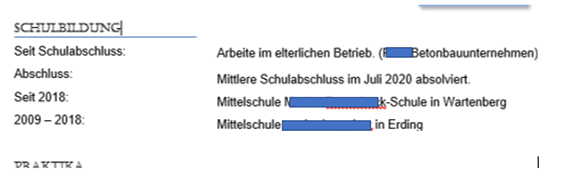 im Lebenslauf so schreiben? (Bewerbung)